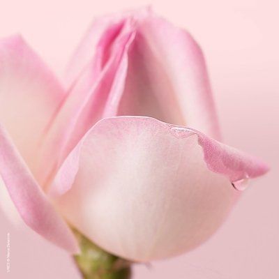 Nuxe Eau De Mousse Micellaire 150 ml.