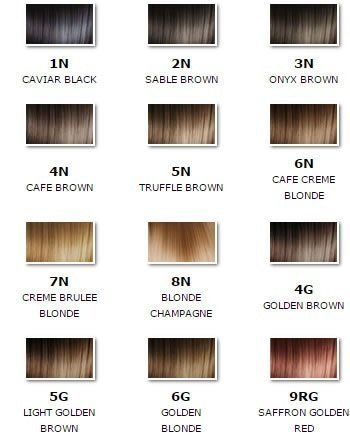 Aequo Color 4G Golden Brown